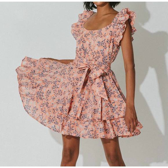 CLEOBELLA Dresses & Skirts - NEW CLEOBELLA britt mini dress in positano floral